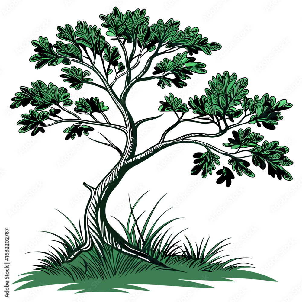 Obraz premium Green tree with leaves and grass illustration nature