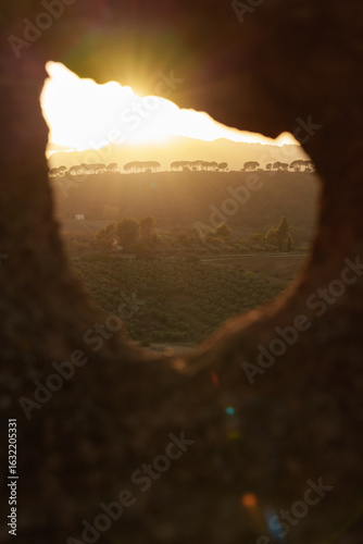 Wallpaper Mural Natural framed image of a bright sun at sunset about to be covered by the top of a mountain in a field with trees and crops. Torontodigital.ca