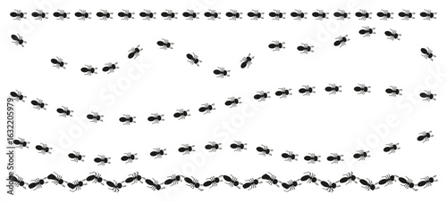 Ant trail borders with insects walking in straight, wavy, and zigzag lines. Vector black silhouettes of ants for decorative dividers