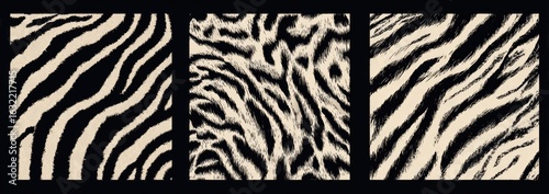 Zebra and Tiger Print Design Variations