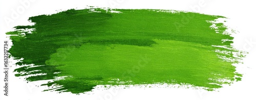 Broad, vibrant green paint stroke on white background