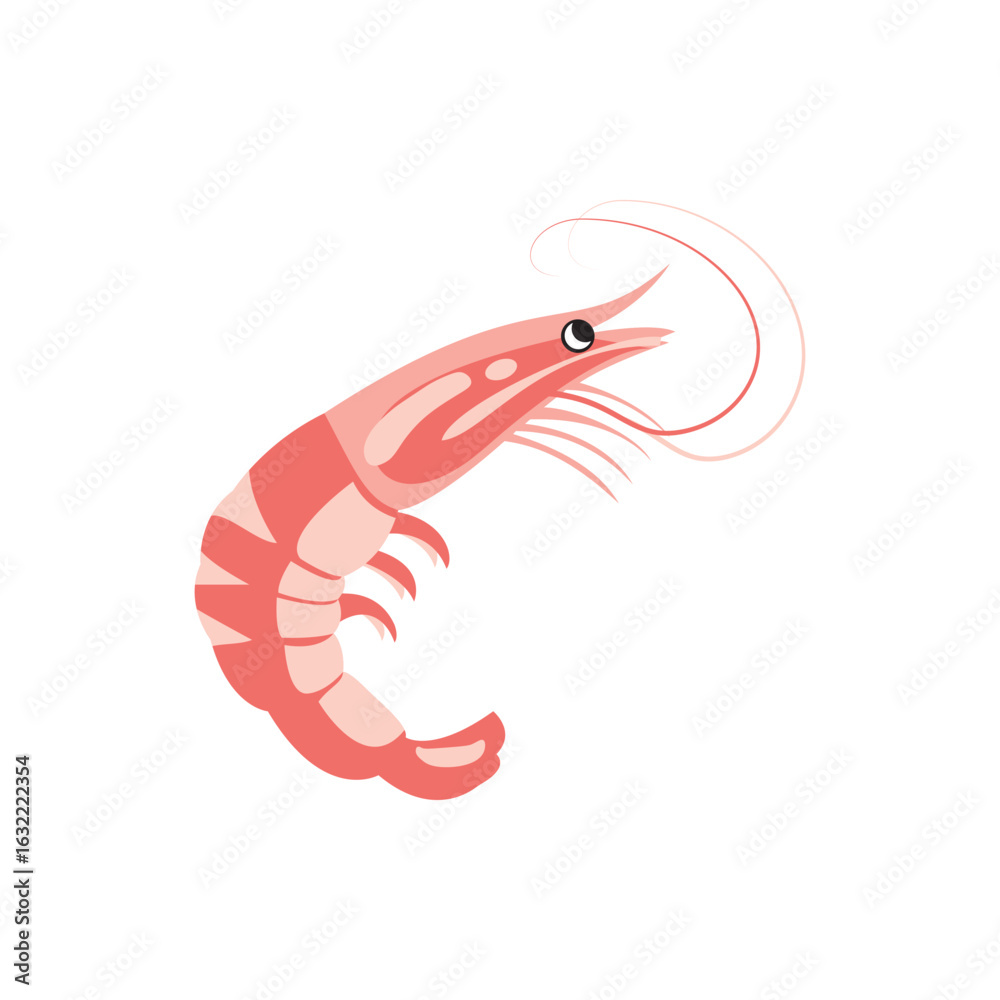 Fototapeta premium Crustaceans. Shrimps, seafood colored illustration on white. Top most popular shellfish and crustaceans. Vector EPS 10. For any platform action promotion and advertising mockup. For your project.