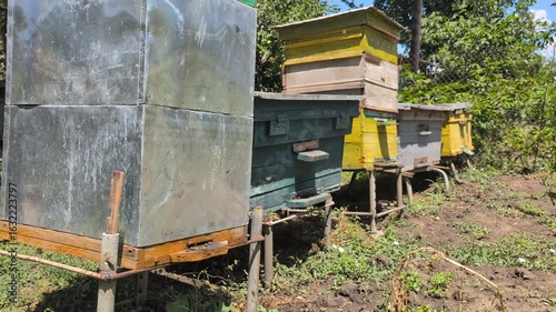 Wallpaper Mural Beehives positioned in a Sunny Field A Vibrant and Colorful Display of Beekeeping Practices Torontodigital.ca