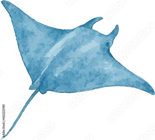Vector watercolor painted illustration of a manta ray