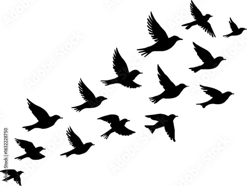 Group Flying Bird Silhouette Element Vector , Bird Vector Silhouette