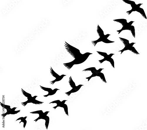 Group Flying Bird Silhouette Element Vector , Bird Vector Silhouette
