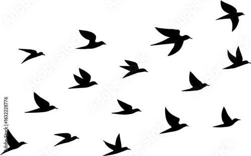 Group Flying Bird Silhouette Element Vector , Bird Vector Silhouette