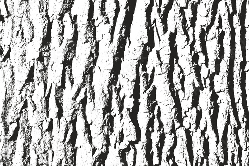 Grunge Tree Bark Texture Background Template, Black and White Wood Bark Vector Texture, Rough Natural Tree Surface Texture for Design, Old Tree Trunk Grunge Overlay Vector Pattern
