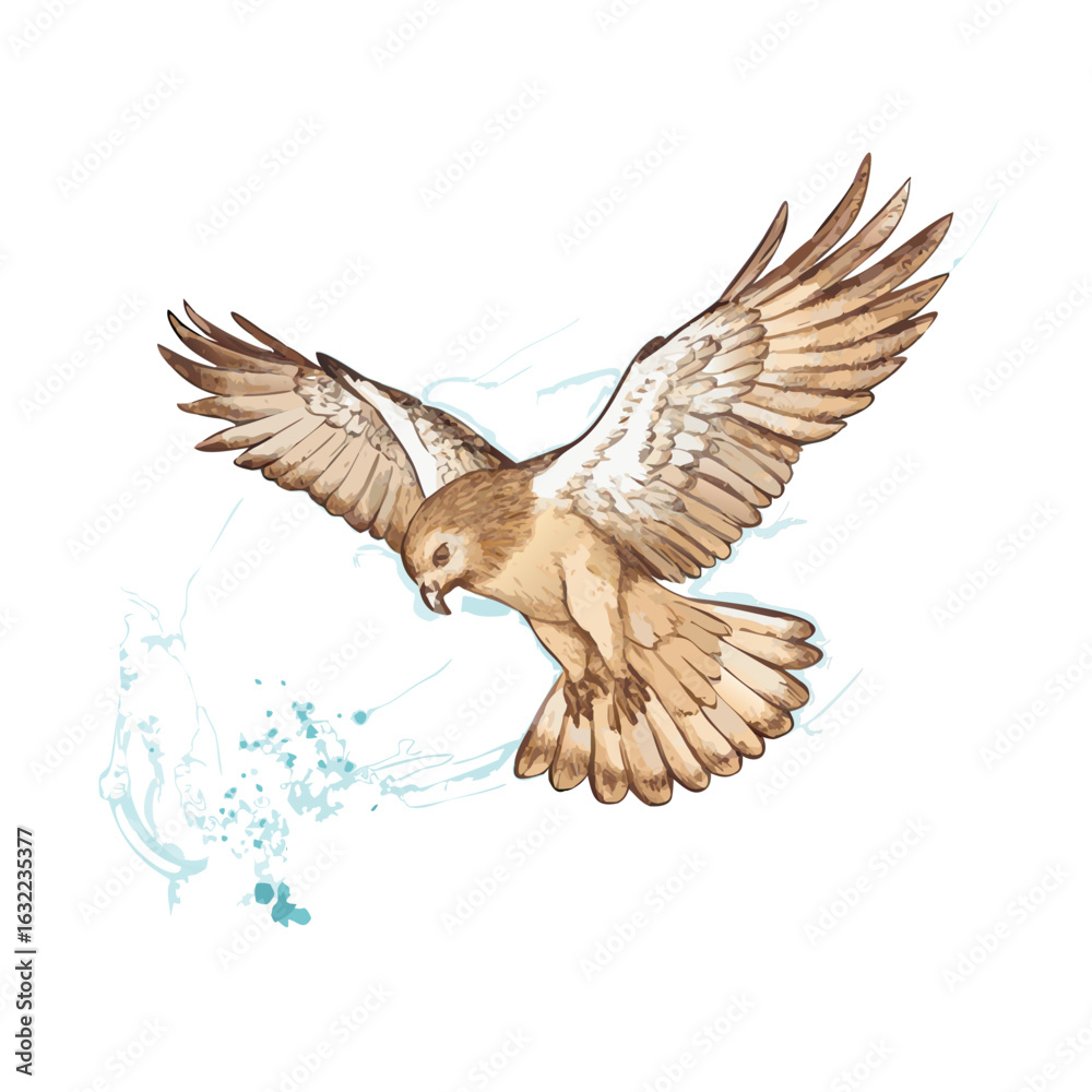 Obraz premium Flying Hawk Watercolor Art – Soaring Bird of Prey Illustration – Elegant Falcon Nature Painting – Wildlife Raptor Wall Decor – Hand-Drawn Flight Design