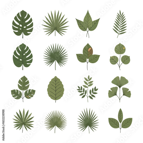 Vector art of collection of various green tropical and exotic plant leaves, isolated on white background
