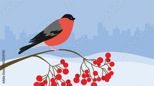 Bullfinch on a rowan branch. Vector illustration in flat style.