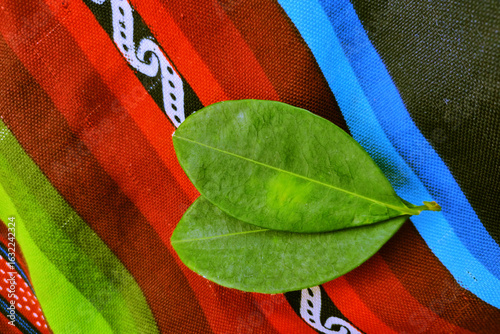 Coca leaves on aguayo tablecloth