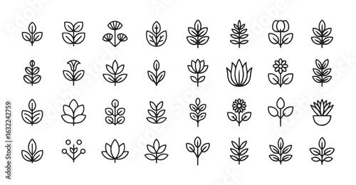House pot plant outline collection. Plant leaf vector eps 10