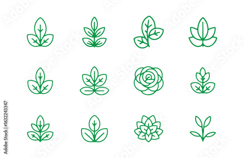 Green color outline plant icon collection. Plant leaf vector eps 10
