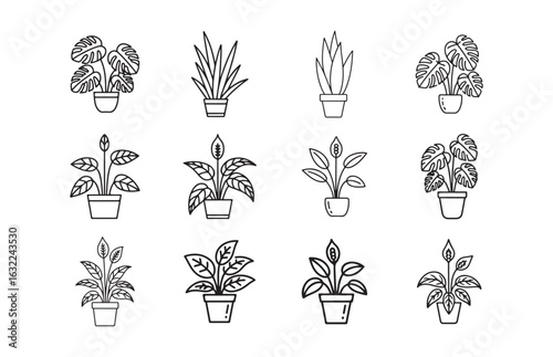 House pot plant outline collection. Plant leaf vector eps 10