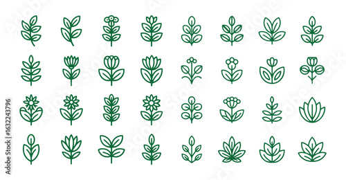 Green leaves, environment, and nature eco sign. Tree plant outline icon. Vector eps 10