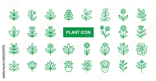 Green leaves, environment, and nature eco sign. Tree plant outline icon. Vector eps 10