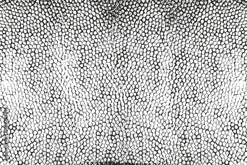 Reptile Snake Skin Scale Texture Vector Background, Grunge Animal Skin Pattern Template for Design, Distressed Snake Texture in Black and White, Seamless Reptile Scales Abstract Grunge Overlay