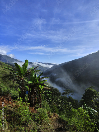 Beautiful landscape of mountainous environment with agronomic crops