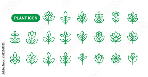 Green plant outline icons. Plant icon. Leaf symbol. Vector illustration eps 10
