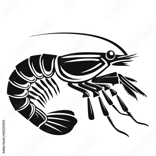 Clean black and white vector illustration of a shrimp, detailed stylized marine animal graphic