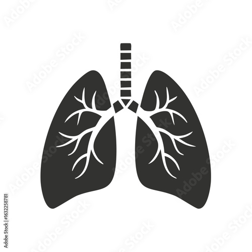 Medical illustration of human lungs, diagram of respiratory system.