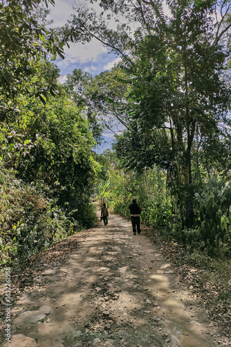 Dirt road in rural area heading north