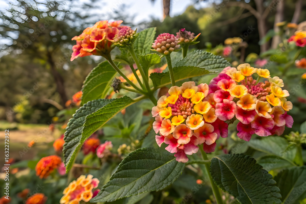 Obraz premium red and yellow flowers