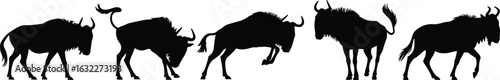 Wildebeest silhouettes in motion, jumping and walking sequence, African antelope progression, wildlife behavior, herd movement, vector animal art