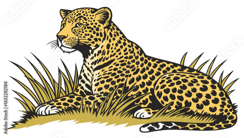Illustration of a leopard resting in the grass wildlife animal feline predator big cat safari zoo art 100