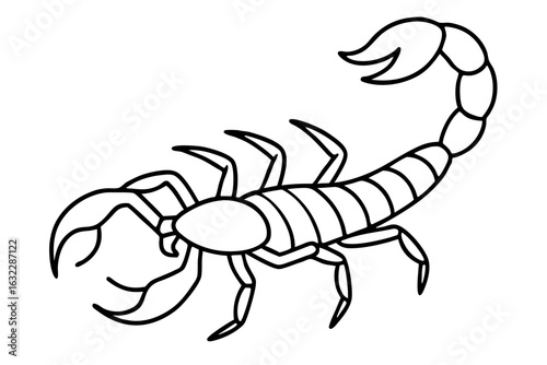 scorpion coloring book page, scorpion outline, scorpion vector illustration
