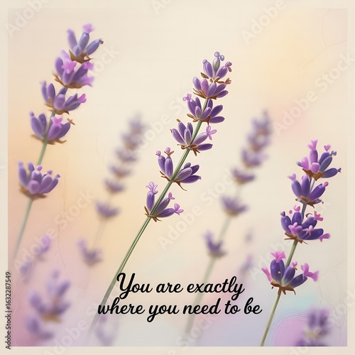 you are exactly where you need to be