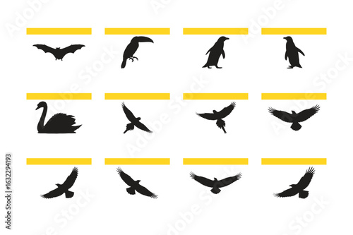 Graphic collection of black bird and animal silhouettes including a toucan, penguin, swan, bat, and various flying birds