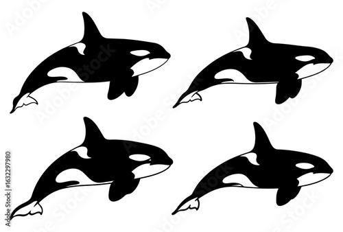Orcas isolated on white background