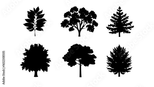 Six Black Tree Silhouettes, Vector Illustrations for Nature Designs