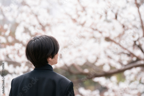 桜を眺める男子生徒, 日本の新学期と入学のイメージ
