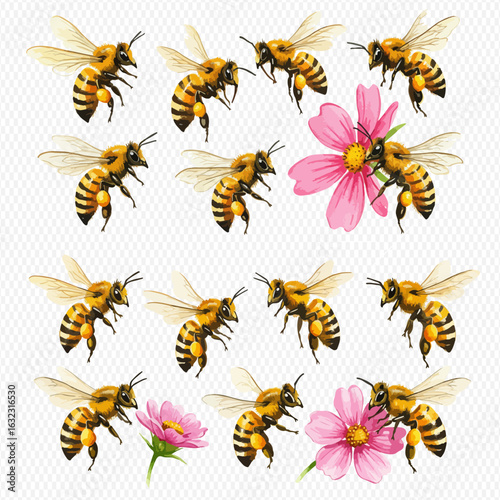 A detailed illustrated collection of honey bees flying and pollinating pink cosmos flowers.
