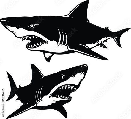 Great White Shark vector illustration set, featuring two different versions of the powerful ocean predator. One is a detailed silhouette with white underbelly and the other is a full black graphic.
