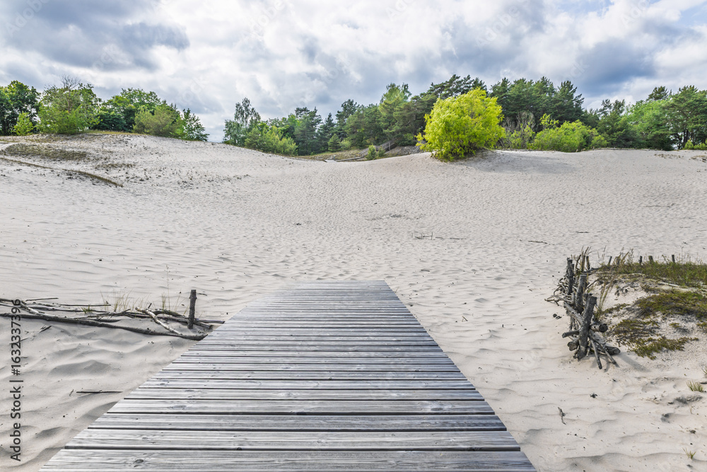 Fototapeta premium Wooden boardwalk leading across pristine white sand dune, Latvia
