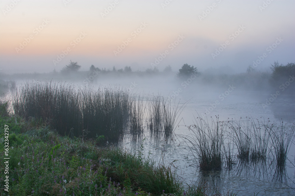 Fototapeta premium morning mist on the river with grass