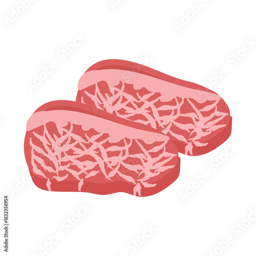 牛肉　生肉　イラスト