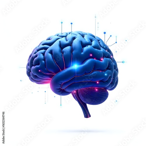 3d rendered illustration of human brain
