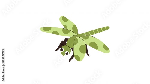 Animated Dragonfly Illustrations Demonstrating Flight Patterns And Behavior In Various Directions On White Background