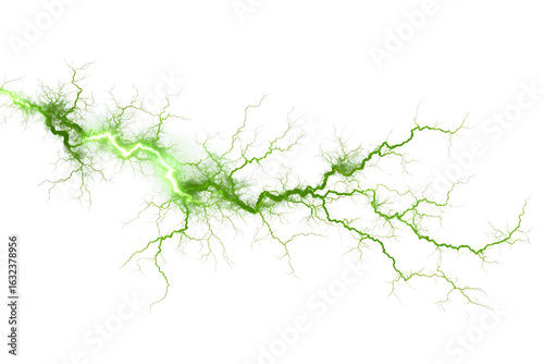 Bright green lightning bolt with branching tendrils on a white background, ideal for energy concepts