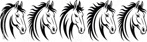 Horse head silhouette vector set, flowing mane detail, black line artwork, equine illustration, stylized animal design, monochrome graphic drawing