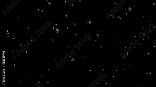 Floating dust particles on black background - perfect for cinematic overlays, visual effects, and dreamy motion graphics. Ideal for film, video edits, or animation.