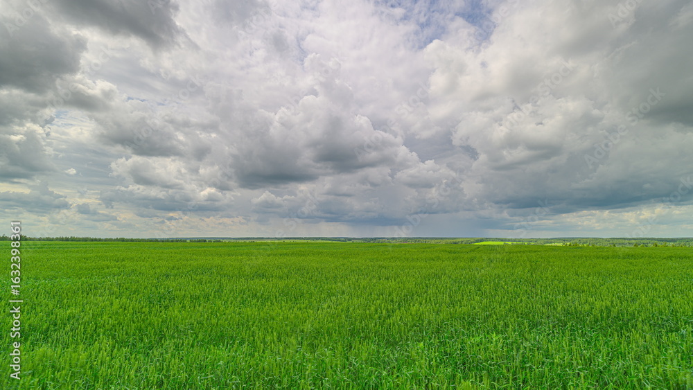 Fototapeta premium A Vast Lush Green Field Under Dramatic and Beautiful Clouds Displaying Natures Splendor