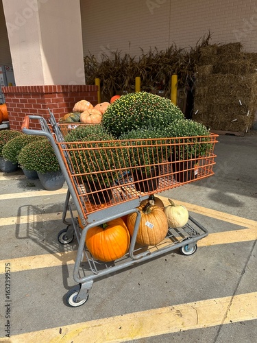 Shopping cart filled with pumpkins and mums.