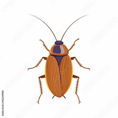 Detailed vector illustration of an insect, brown cockroach with long antennae on white backdrop