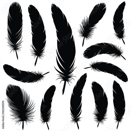 Assortment of black feather silhouettes in different orientations on white Keywords: feather, feathers, quill, plume, bird, down, soft, light